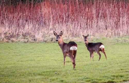 The Gatehouse - Foto 12