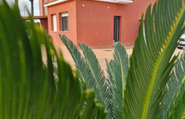 Macì Green House - Foto 29
