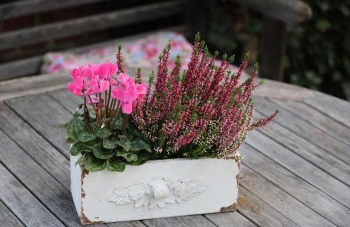 Altes Schulhaus in der Lüneburger Heide - Photo 29