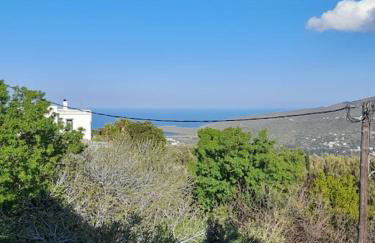 SummerAndros Skalario - Foto 28