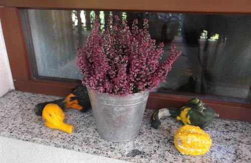 Amselgarten - Foto 47