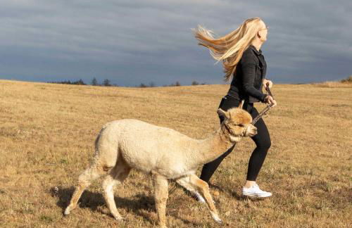 Blockhaus am Edersee - Foto 11