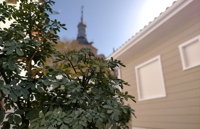 Azafrán Consuegra Casa Rural - Foto 12