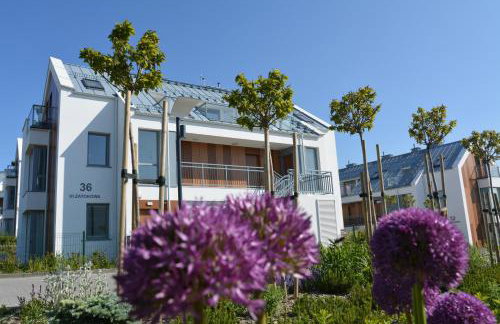 Mario Mechelinki - Foto 1