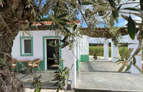 Fonte Freixo, em Borba, Alentejo - Foto 1