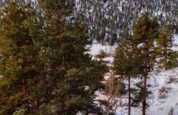 Rocky Mountain Panorama Cabin - Foto 26