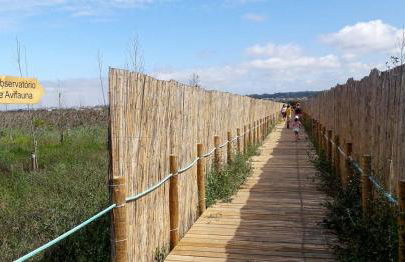 Sun, Sky and Sea - Foto 54