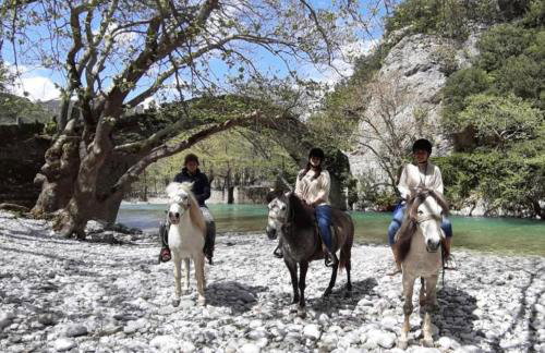 Casa Frasta in Tzoumerka - Foto 33