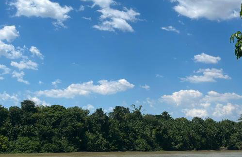 Casa na ilha do combu - Foto 14