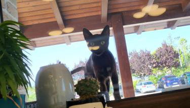 Country House Ciliegia Rossa - Foto 2