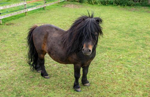 Street House Farm Cottage - Foto 23