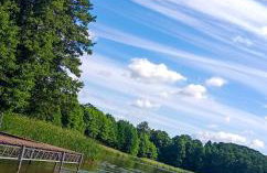 Leśny Domek - Foto 22