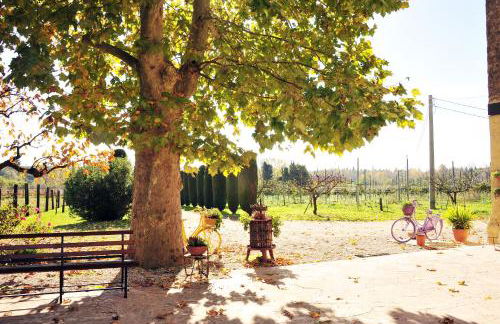 Agriturismo Corte Bonetti - Foto 5