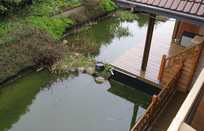 Zeit zum Träumen II - Foto 16