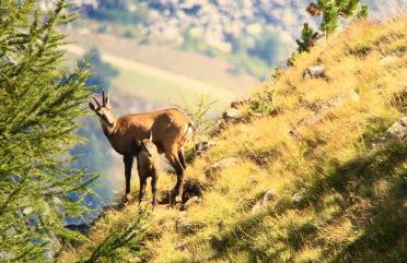 Chalet Nontiscordardime - Foto 13