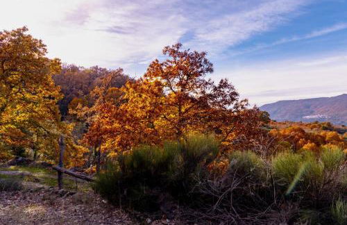 La Cañada del Valle del Jerte - Foto 50