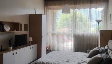 LFSUITE LuganoLake Terrazza Spiaggia privata Parking WI-FI Netflix - Foto 4