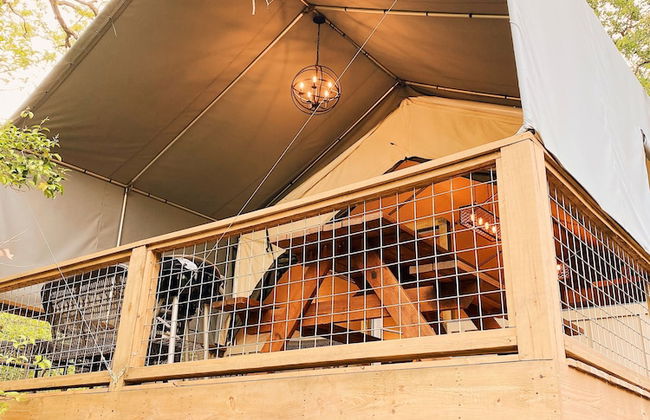 13 Son's Rio Cibolo - Birdhouse Cabin - Foto 20