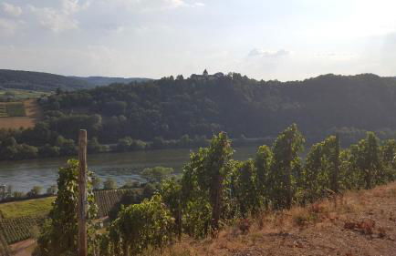 Zur Königslay - Foto 34