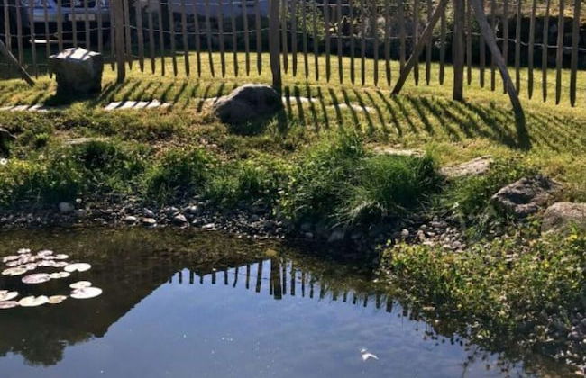 Holiday Home Feldbergblick - Foto 13