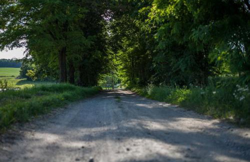 Domek na wzgórzu Blanki - Foto 11