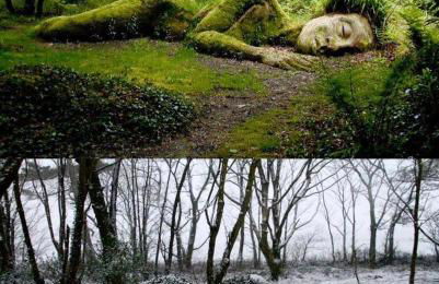 Corner Cottage Mevagissey - Foto 28