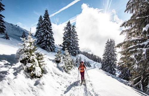 Apartment in Châtel near Barbossine Lift - Foto 9