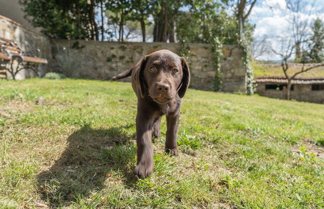 Corte di Valle Wine and Resort - Foto 75