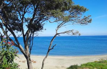 T3 vue mer direct plage clim N79 - Foto 1