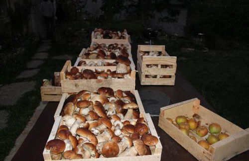 les 3 mesanges - Foto 18