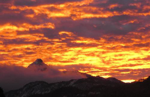 Apartment am Rosengarten by Interhome - Foto 42