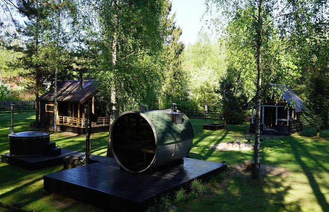 Metai Miške&a Year in the Forest - Photo 22