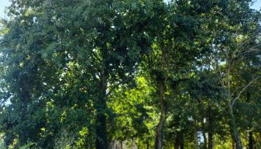 Maison moderne a 1km du circuit des 24h du mans - Photo 5