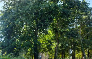 Maison moderne a 1km du circuit des 24h du mans - Photo 5