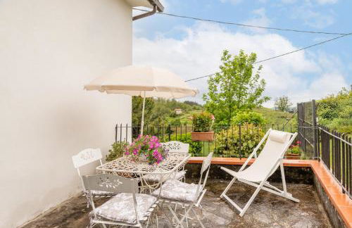 Sassi Scritti - Acero Montano - Foto 22