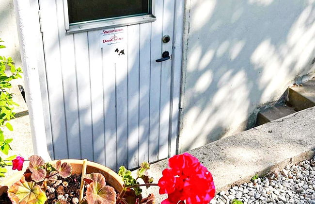 4 Person Holiday Home in Visby - Foto 23