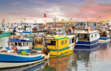 Le Patio - Saint-Denis d’Oléron - Foto 17