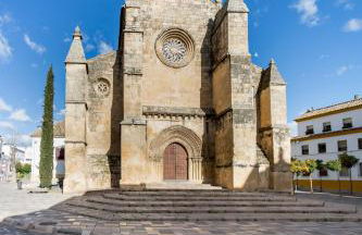 Casa Viana - Photo 39