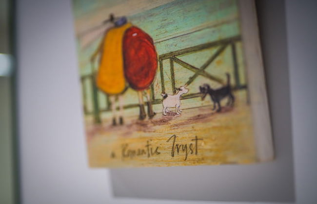 2 Sussex Place - Foto 77