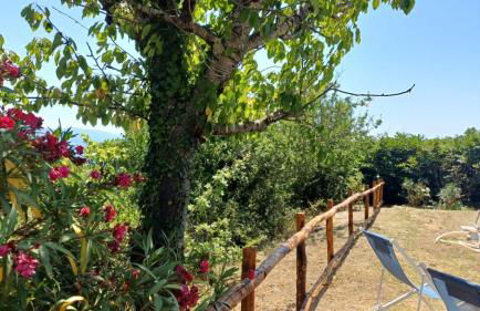 Casa Flora - Foto 38