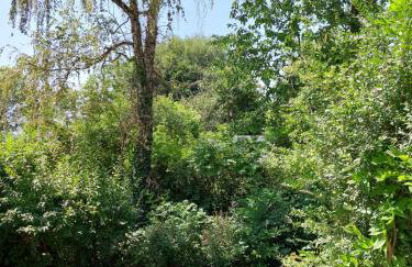 Landpartie - Foto 37