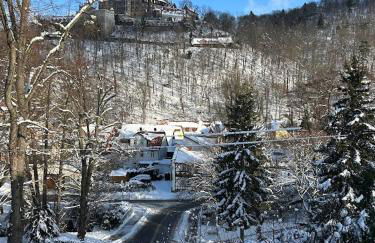 Studio Blick zum Schloss Wernigerode - Foto 17