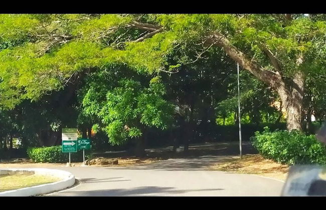 Las Brisas, Juan Dolio, 3br, 3 Pools, Jacuzzi, Beach, Golf, Polo - Foto 43