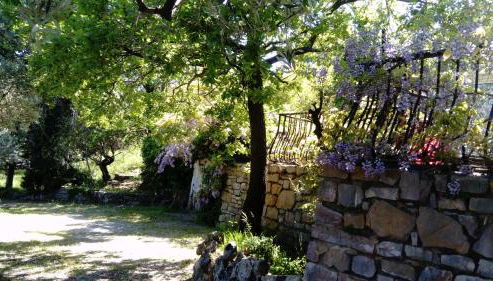 villa Kallisté - Foto 5, Garden