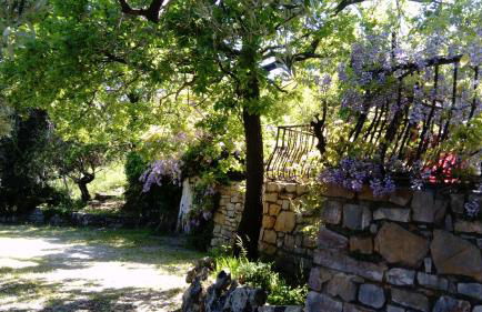 villa Kallisté - Foto 5