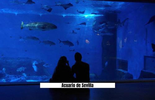 Apartalux Sevilla Camas - Foto 28