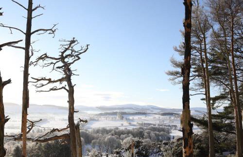 Garden Studio in Biggar - Photo 27
