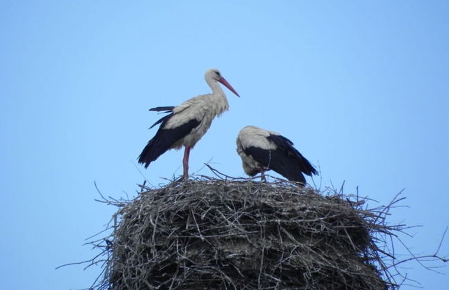 Nice Apartment in Gohrde - Foto 7
