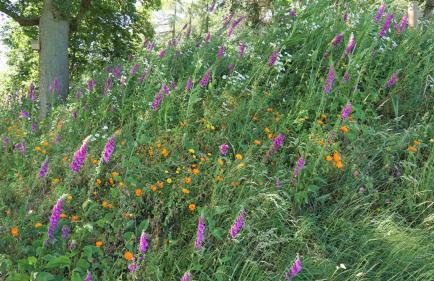 Shepherd's Watch Cottage - 5* Cyfie Farm with private hot tub - Foto 32