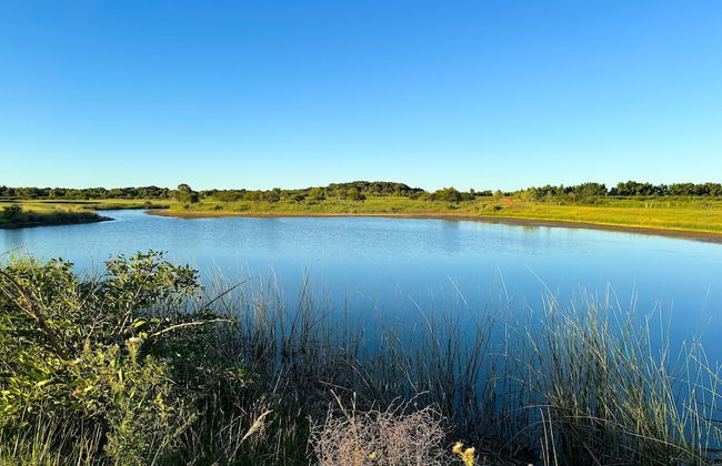 Panoramic by Carmelodays - Foto 38